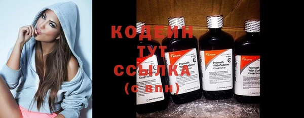прущие грибы Армянск