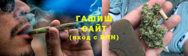 прущие грибы Армянск